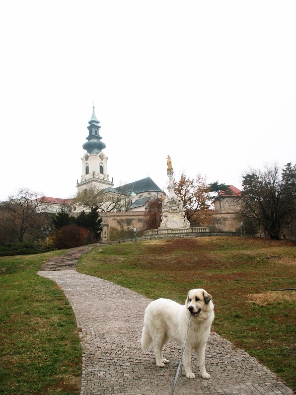 Babeta a Nitranský Hrad05