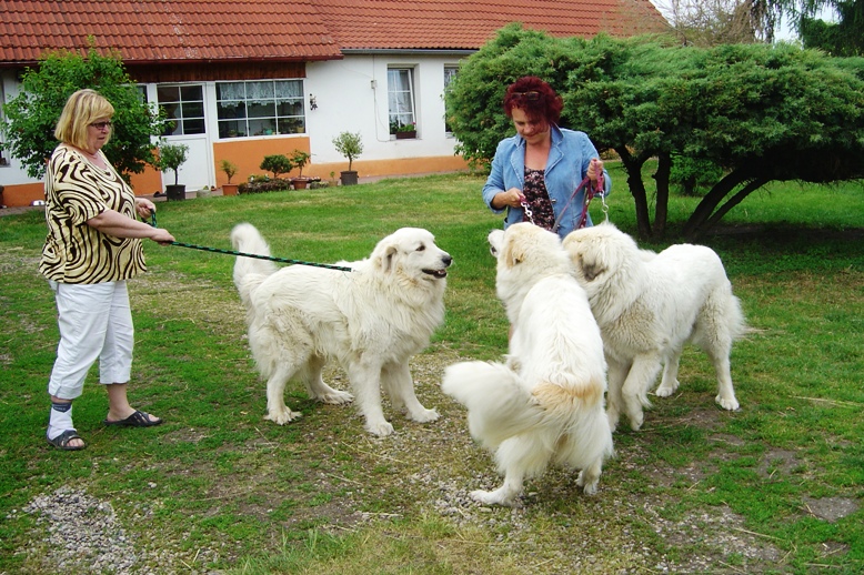 Píďa, Marunka, Babetka, 28.5.2012,04