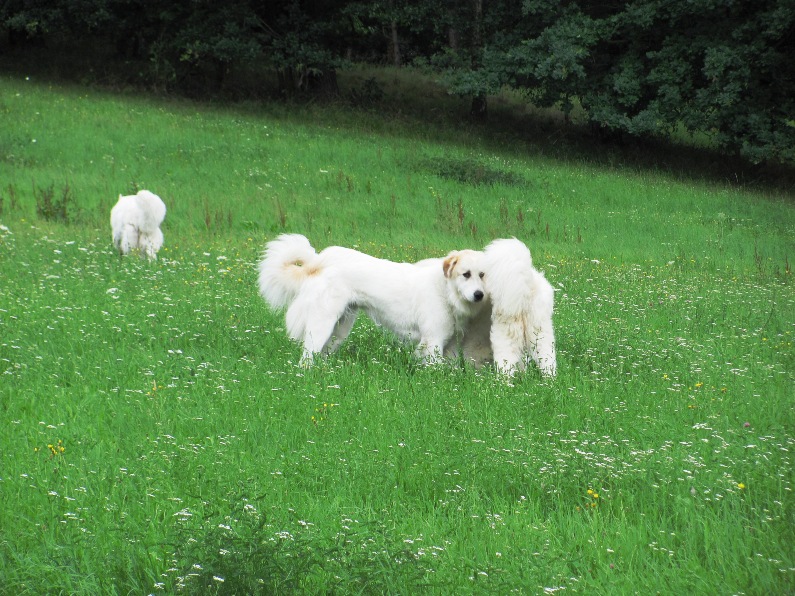 17.7.2012,Valdecke podhradi a z Vajlovny,02